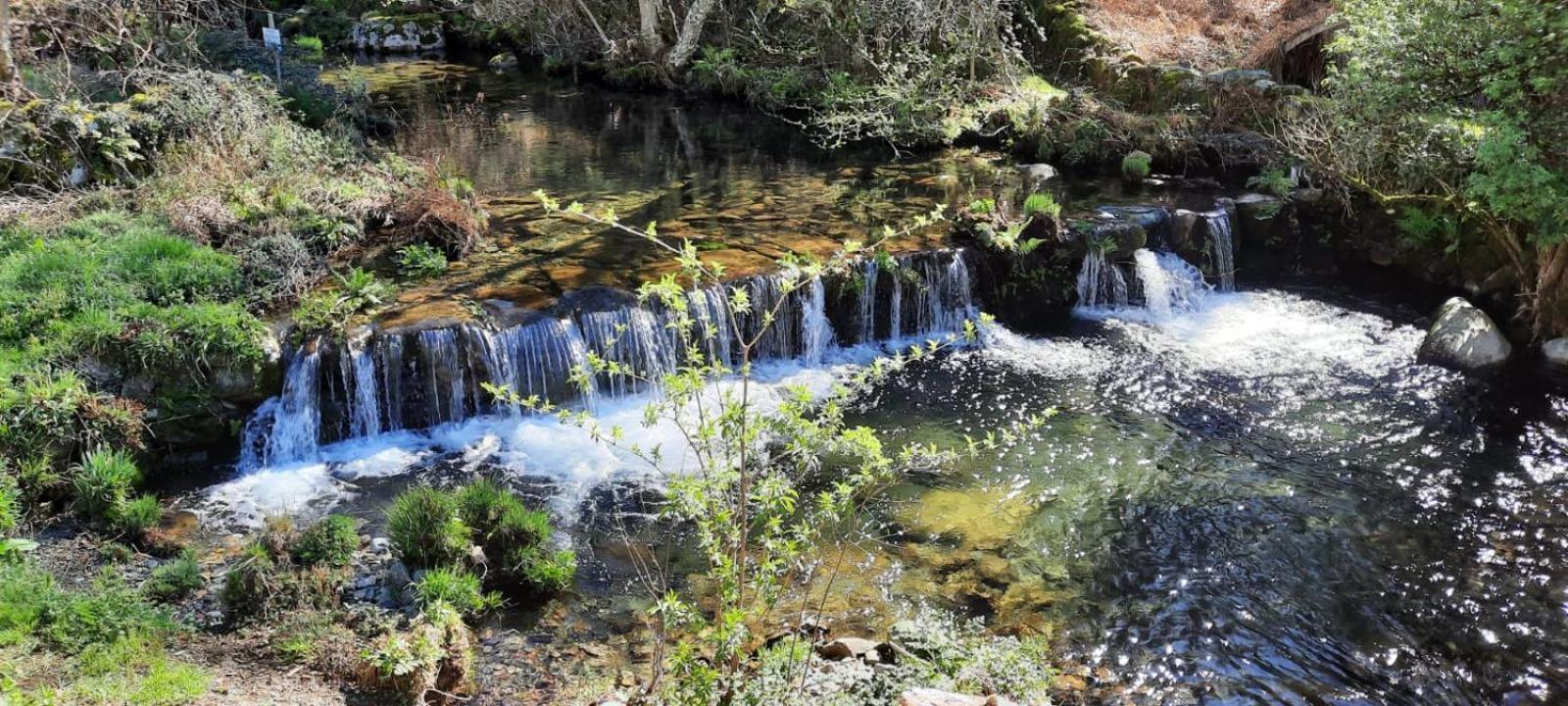 شقة Casa Ribeira Coentral Das Barreiras المظهر الخارجي الصورة